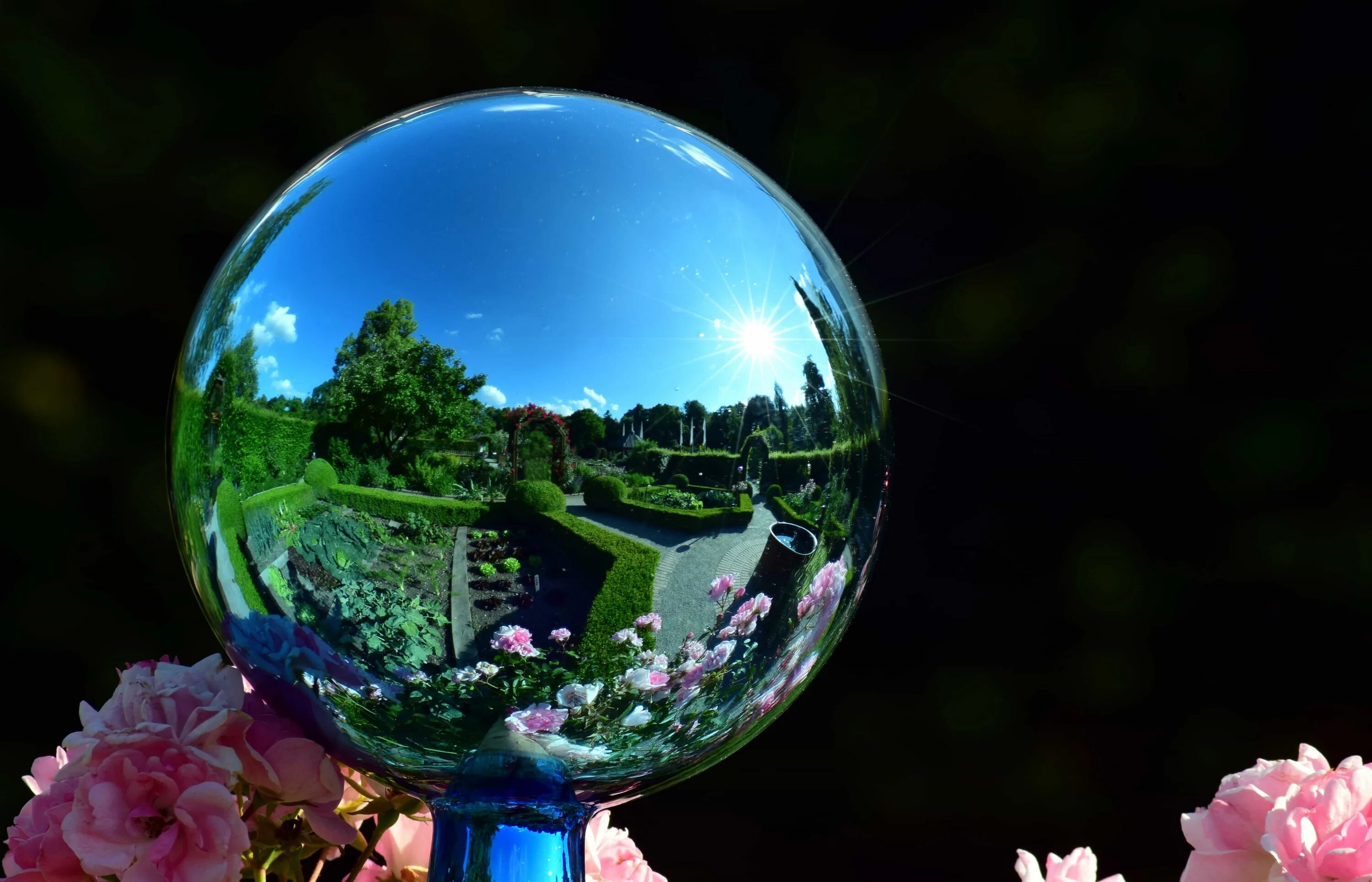 Природа в шаре. Красивый шар. Цветы в стеклянном шаре. Отражение в шаре. Стеклянный шар фон.