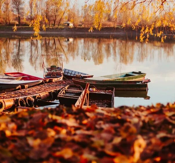 Download wallpaper 1920x1080 boat, pier, lake, trees full hd, hdtv, fhd, 1080p h