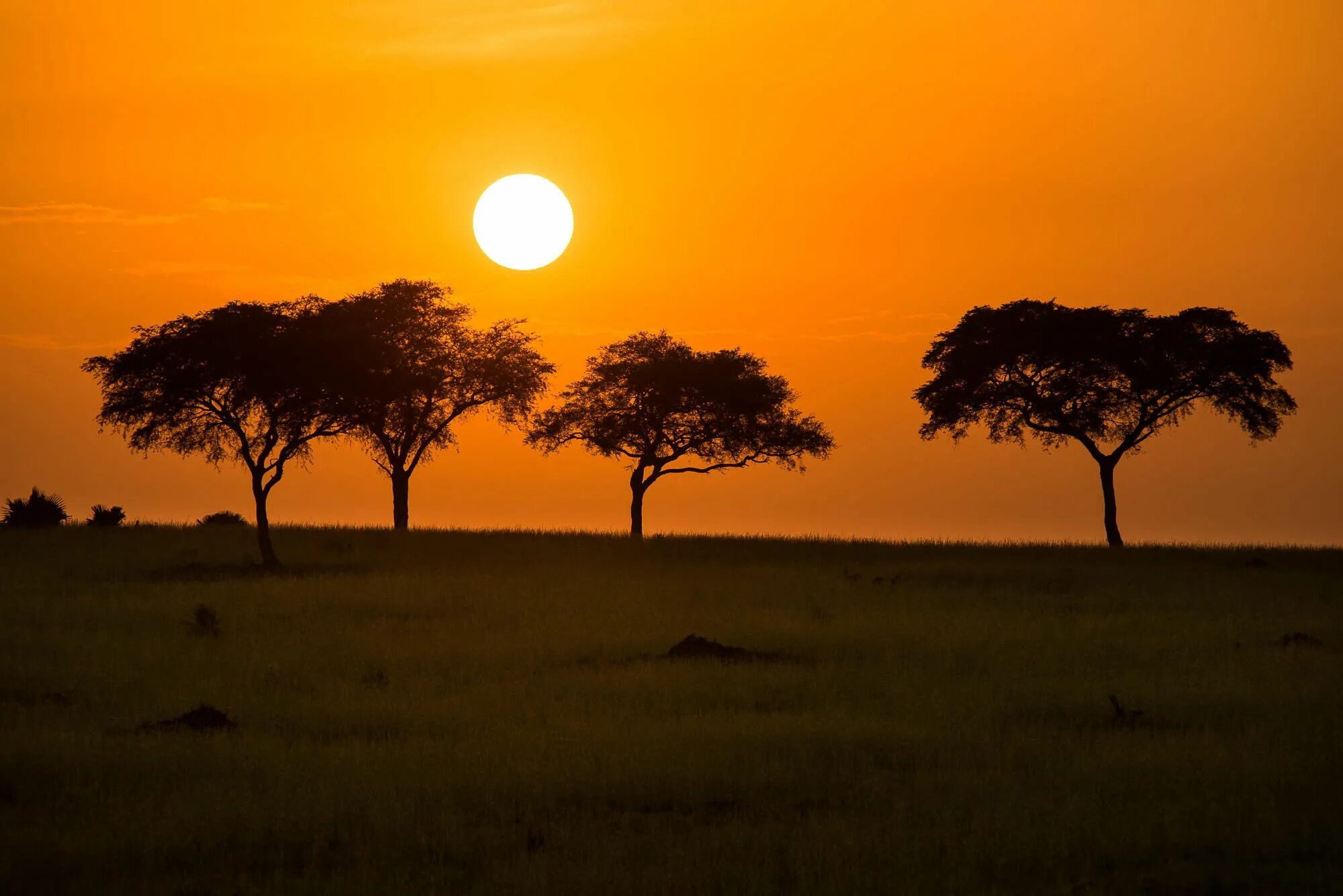 Деревня в саванне Африка. Африка пейзаж. Африканский климат. Северная Африка природа. La africa