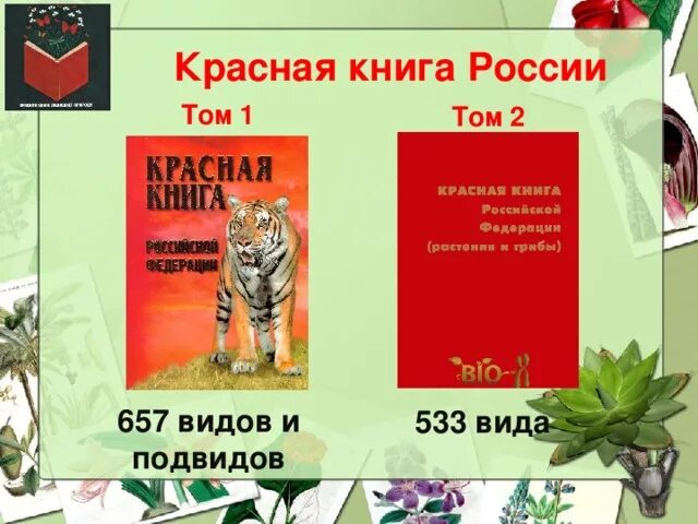 1 том красной книги. Сколько томов в красной книге. Красная книга России. Сколько томов в красной книге нашей страны. Красной книги России том 2.