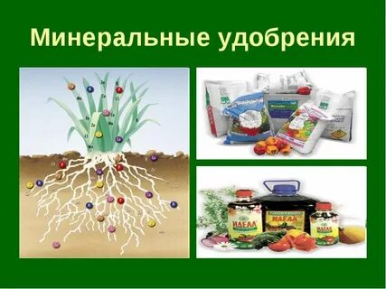 Минеральными и питательными веществами 3