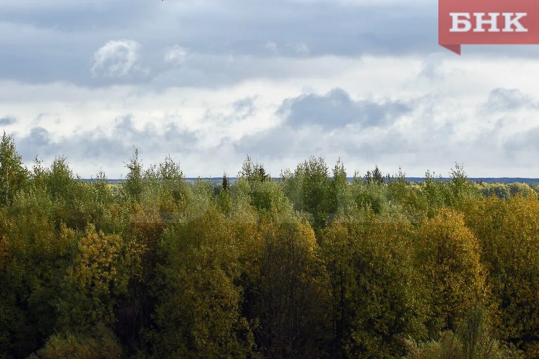 Цгмс усть цильма на 10. Сыктывкар леса фото. ЦГМС Троицко-Печорск погода.