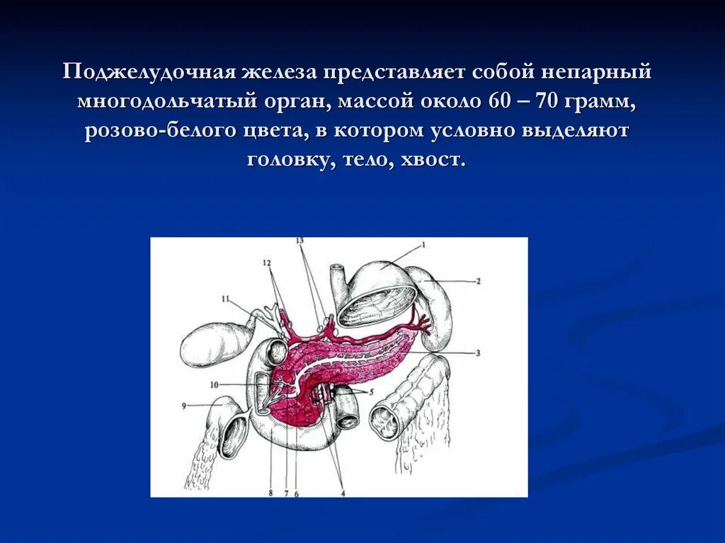 Поджелудочная железа операция отзывы. Панкреатическая фистула классификации. Свищи поджелудочной железы классификация. Свищи поджелудочной железы хирургия. Наружный свищ поджелудочной железы.