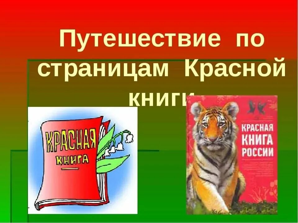 Красная книга. Путешествие по красной книге. Путешествие по страницам красной книги. Красная книга России. Красная книга сценарий