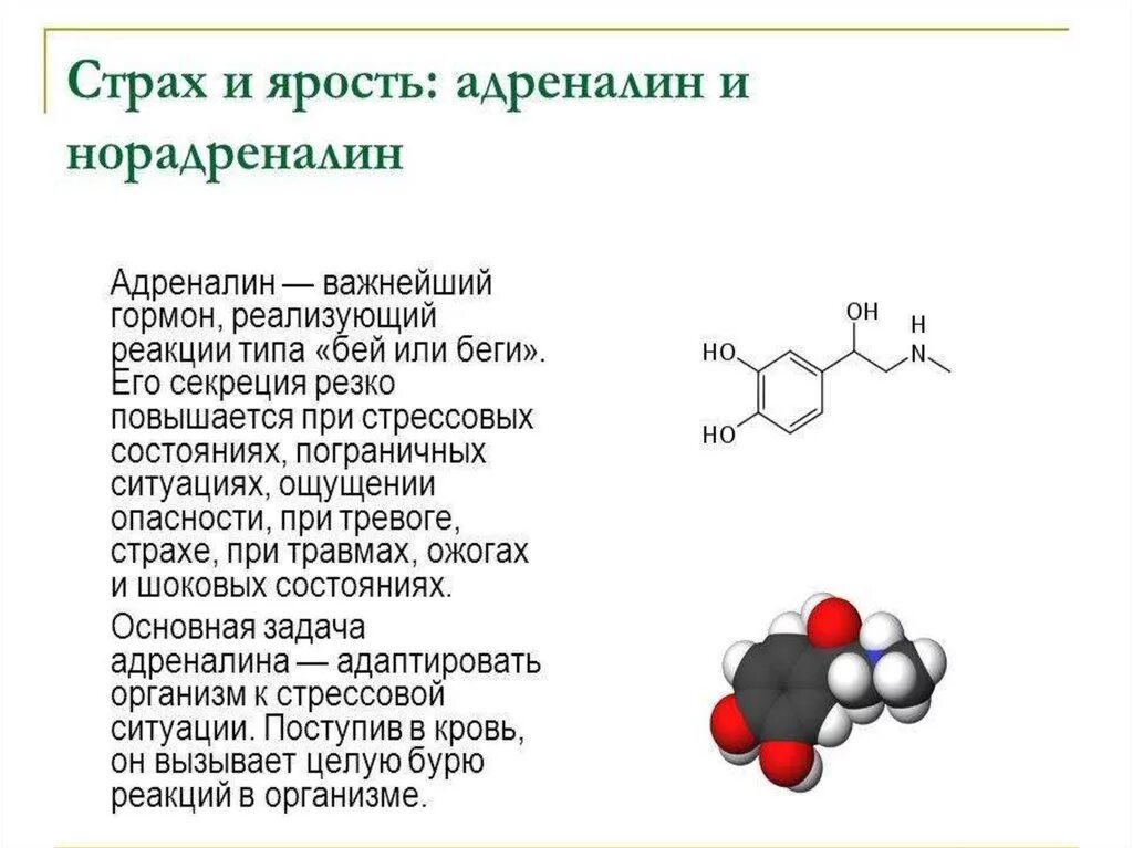 Адреналин структура гормона. Строение гормона адреналина. Адреналин гормон биохимия структура. Гормон адреналин химическая структура. Адреналин польза