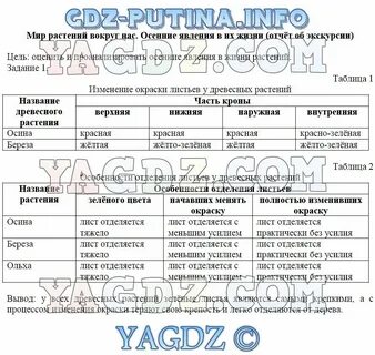 Биология пятый класс страница 43 таблица