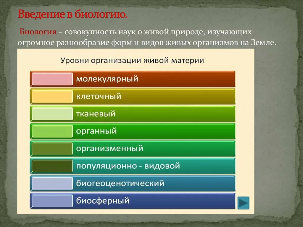 Какие уровни организации жизни экология