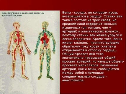 Сообщение про систему