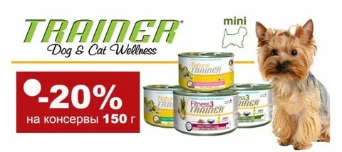 Дог интернет