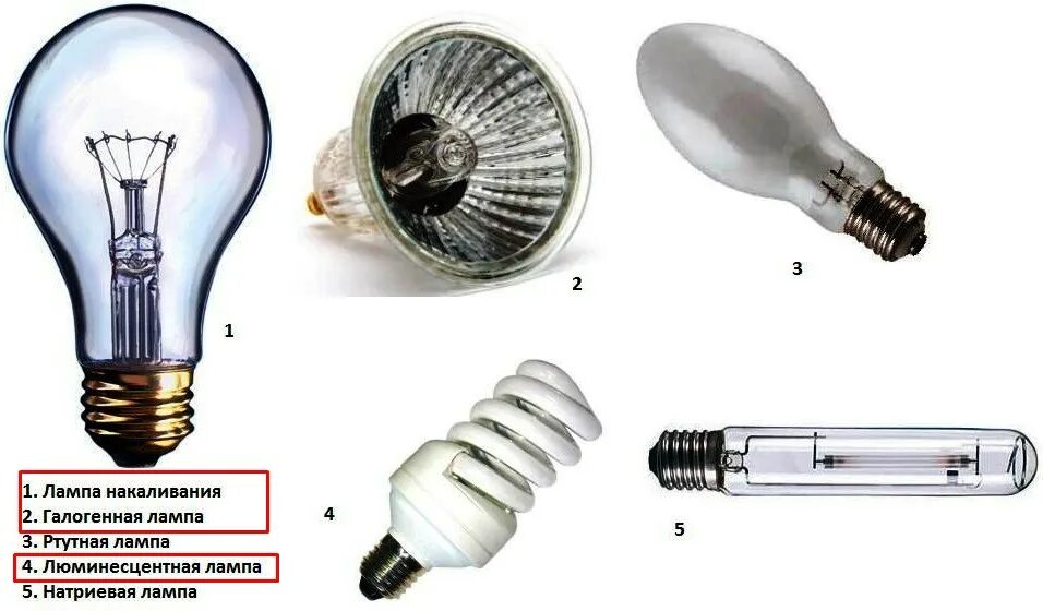 Источник света в лампочке. Формы ламп накаливания. Лампа накаливания люминесцентная. Название ламп. Обычная лампа накаливания.