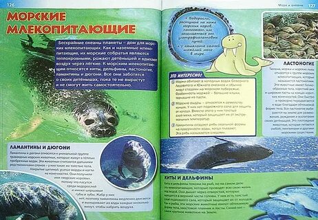 Есть энциклопедии большие и малые