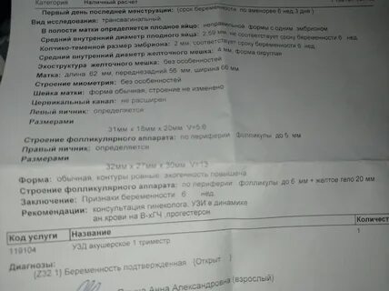 Плодное яйцо не соответствует сроку