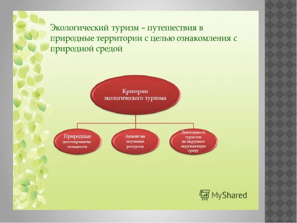 Экологические проблемы развития туризма. Виды экологического туризма. Проблемы развития туризма. Концепция экотуризма. Проблемы и перспективы рекреационных ресурсов.