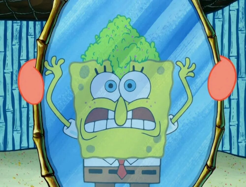 Зеленый заболел. Spongebob квадратные штаны Seasons. Губка Боб квадратные штаны ТНТ 2003.