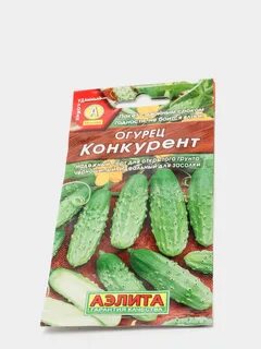Описания огурцов сорта конкурент