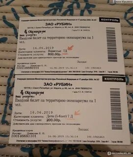 Билеты в океанариум спб