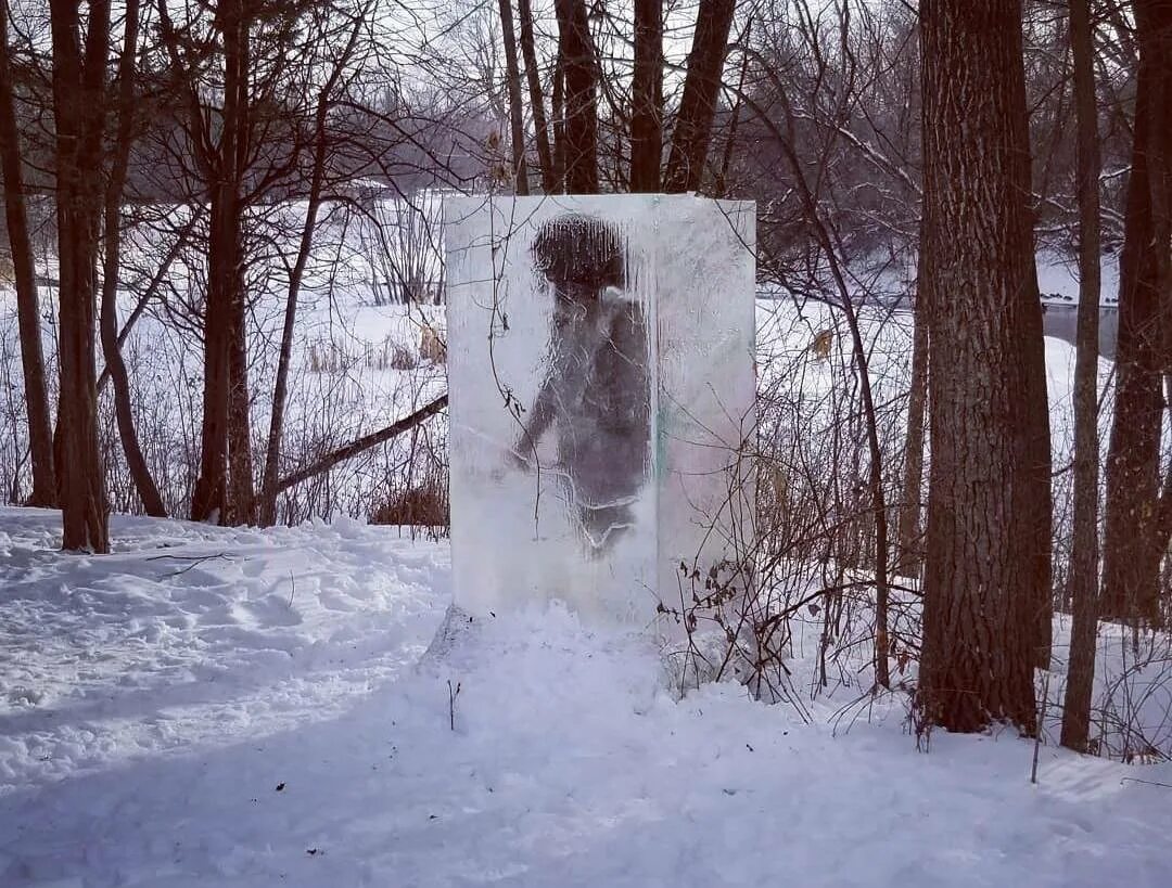 Нашел замерзшую в лесу. Нашел замерзшую в лесу