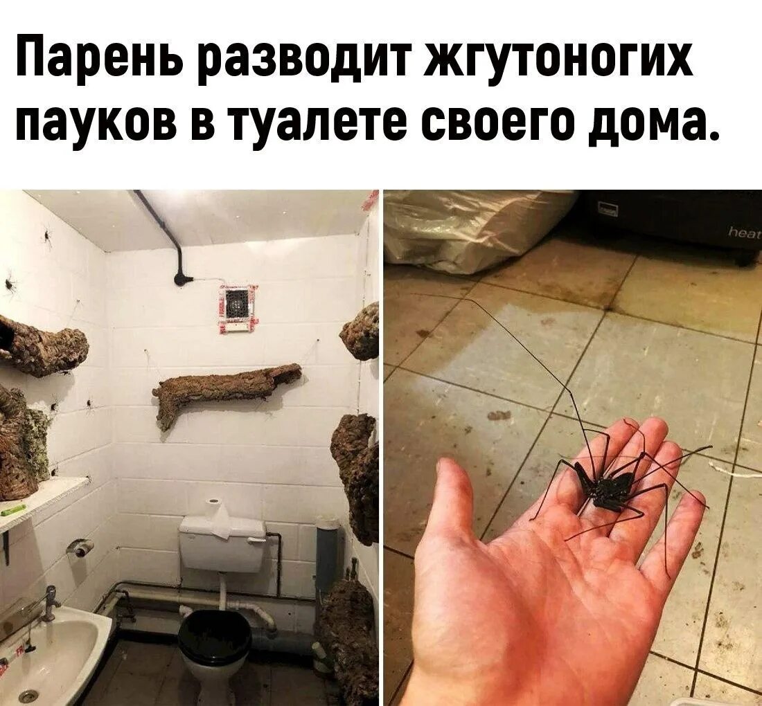 Оставляет себе какую то