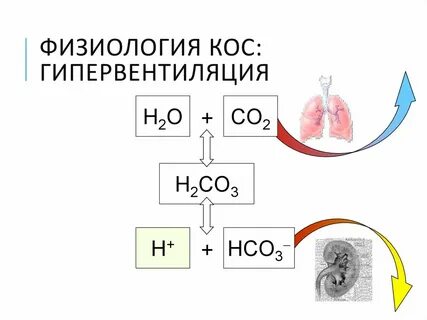 Кос кислотно основное состояние