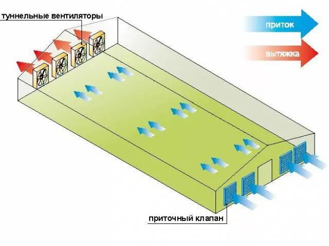 Воздух животноводческих помещений. Приточно-вытяжная система вентиляции для КРС. Туннельная вентиляция в свинарнике. Вытяжка для коровника нормы и схема. Вентиляция для коровника нормы и схема устройства.