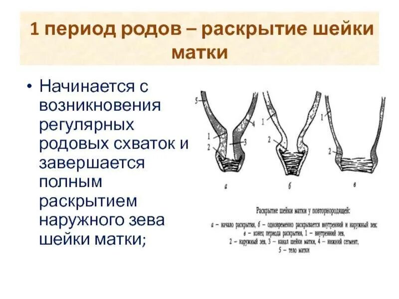 Почему головка не закрывается