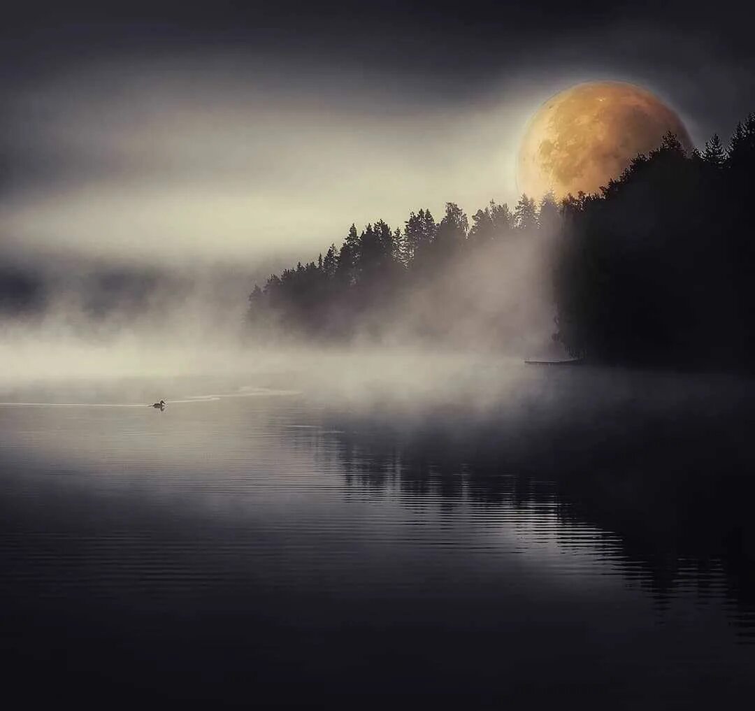 Луна любовь. Сьюзен буллет картины. Лицо на фоне луны. Moon hear. Парень и девушка на луне.