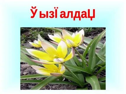 Ресейлік зертхана қызметкерлерінің азғындықтарының порнографиялық фотосуреттері