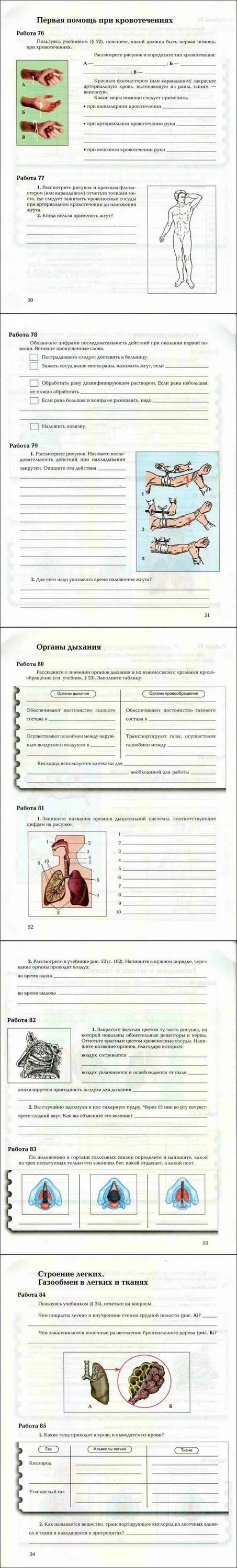 Драгомилов тесты 8 класс. Биология 8 класс тесты драгомилов. Биология 8 класс рабочая тетрадь драгомилов. Биология 8 класс драгомилов маш читать. Биология тетрадь 8 класс маш.