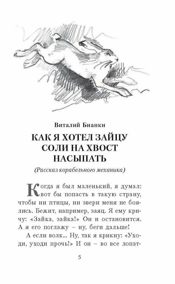 Рассказ виталия бианки как я хотел зайцу соль на хвост насыпать. Бианки как я хотел зайцу соли на хвост насыпать читать. Хвостик зайца рисунок. Как я хотел зайцу соли на хвост насыпать рисунок. Самоотверженный заяц.