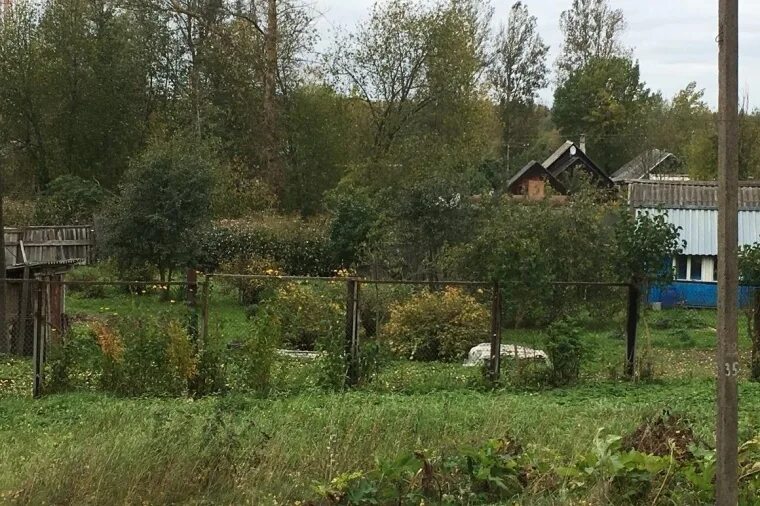волхов, кировский проспект, д. волховский переулок тучков переулок. волховский д 3. , д. волховский переулок 2с1.