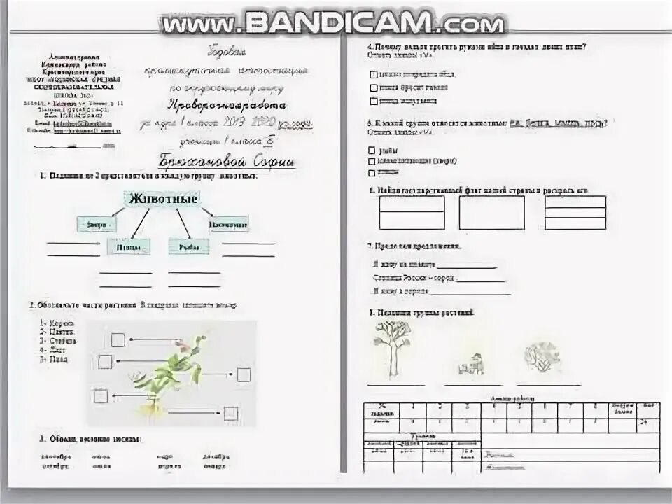 Па контрольная работа. Материалы контрольно измерительные работ. Тэсты па беларускай мове. Па контрольная работа. Па контрольная работа.