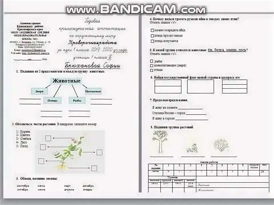 Тест итоговый окружающий мир 1 класс. Окружающий мир 2 класс контрольные работы животные. Протокол оформления анализа тестирования окружающий мир 1 класс. Проверочная работа по окружающему миру 3 класс дорожные знаки.