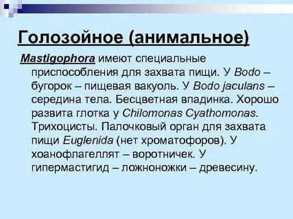 Голозои примеры
