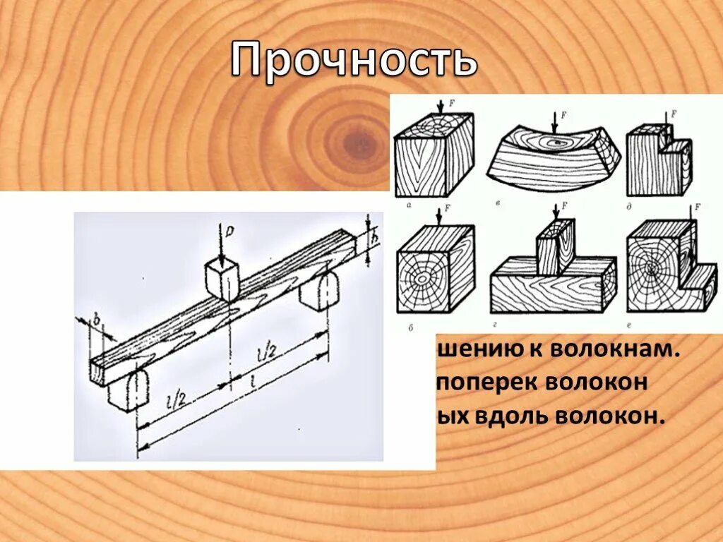 Вдоль и поперек. Вдоль и поперек волокон древесины. Прочность древесины вдоль и поперек волокон. Сжатие древесины вдоль и поперек волокон. Изгиб древесины вдоль и поперек волокон.