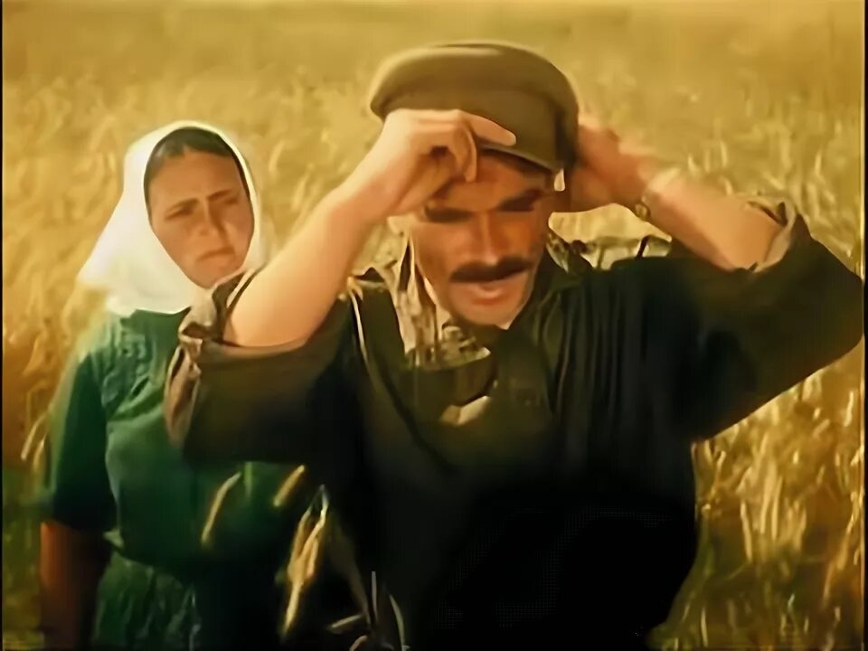 Золотая рожь песня. Песня ой ты рожь. Ой ты рожь хорошо поешь слушать. Синонимы к слову золотая рожь. Песня ой ты рожь.