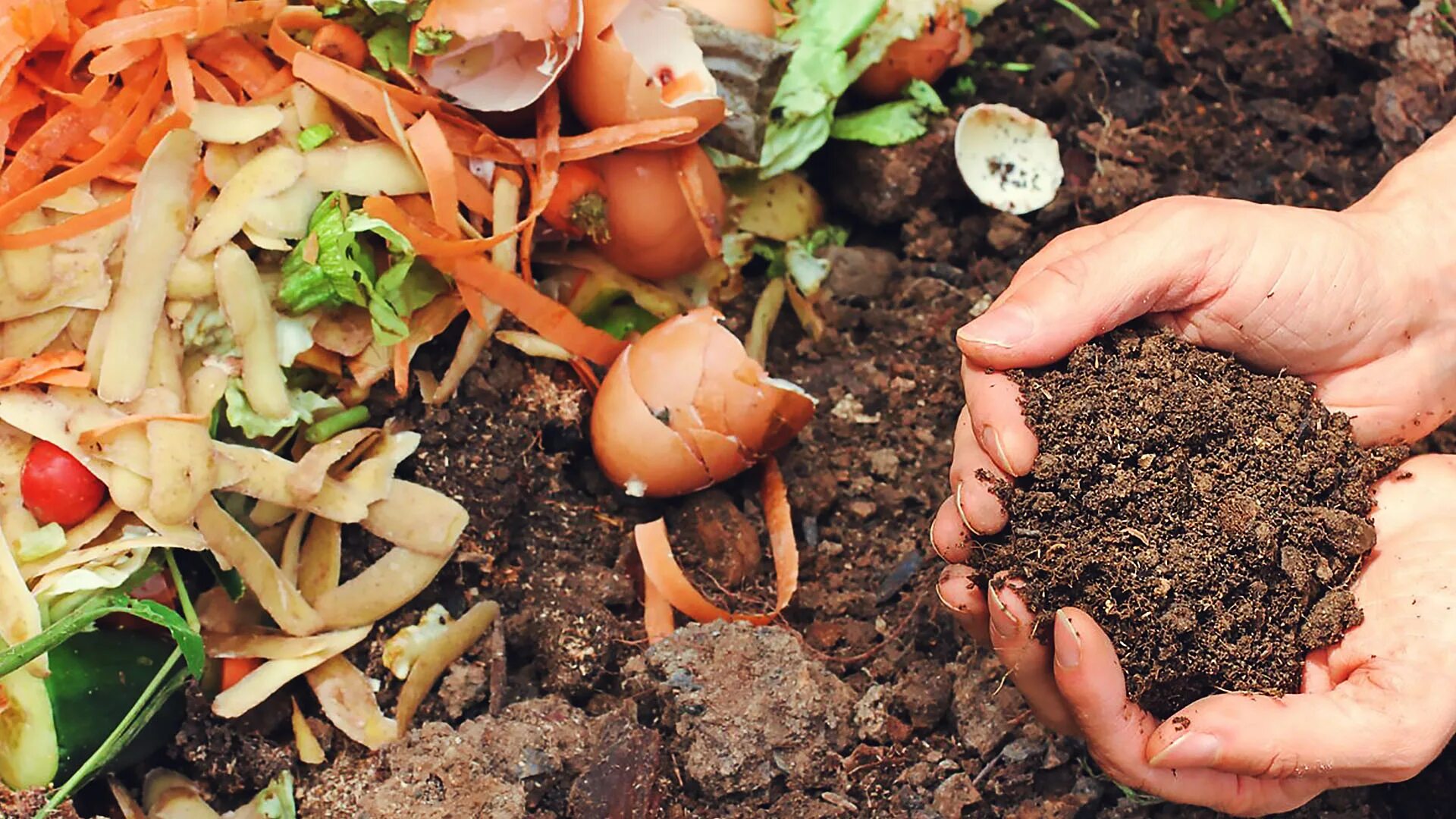 Composted wastes. Composted wastes