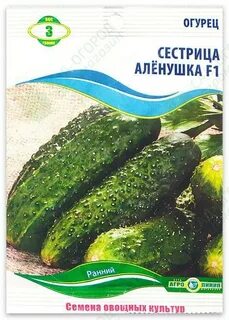 Огурцы сорт аннушка
