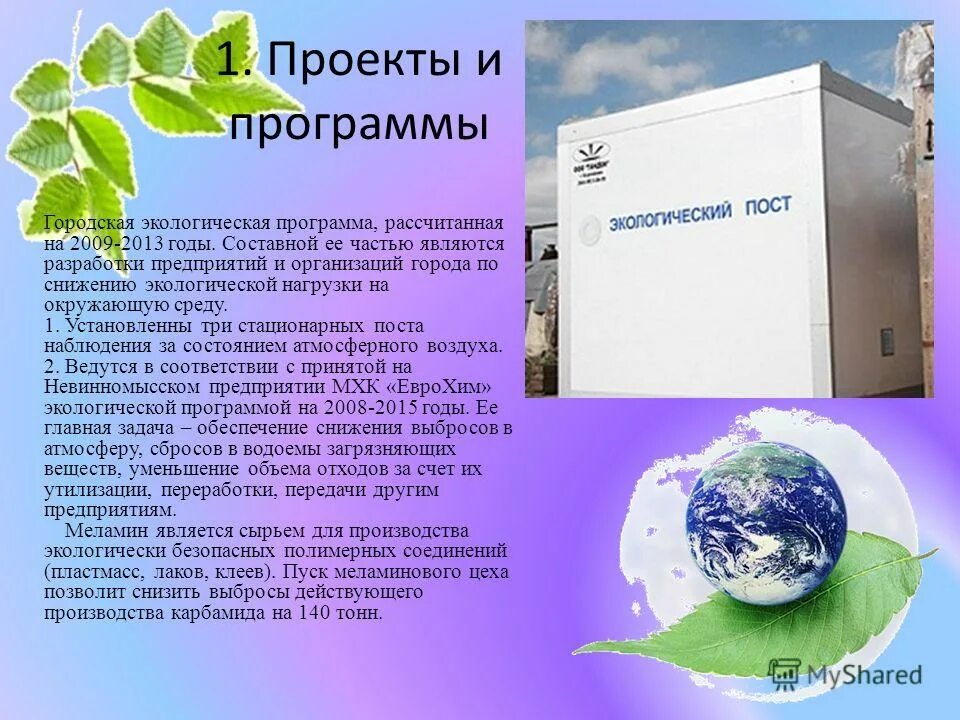 дополнительные экологические программы. николаева). программа экология. экологические программы по экологии. экологические понятия для младших школьников.