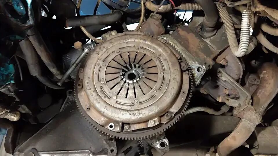Сцепление т5 2.5. Сцепление т5 2.5