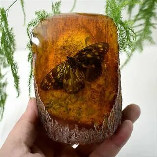 Kings amber