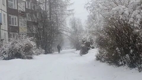 Снежный петрозаводск
