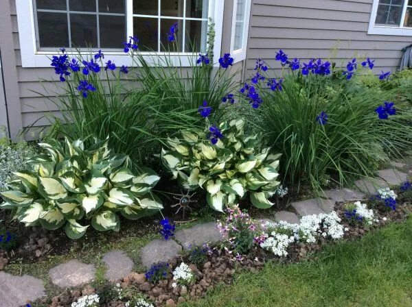 Modern garden Shade garden, Backyard landscaping, Garden design