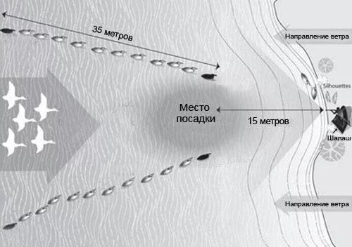 Как расставить чучела