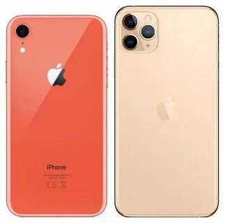 Xr max pro