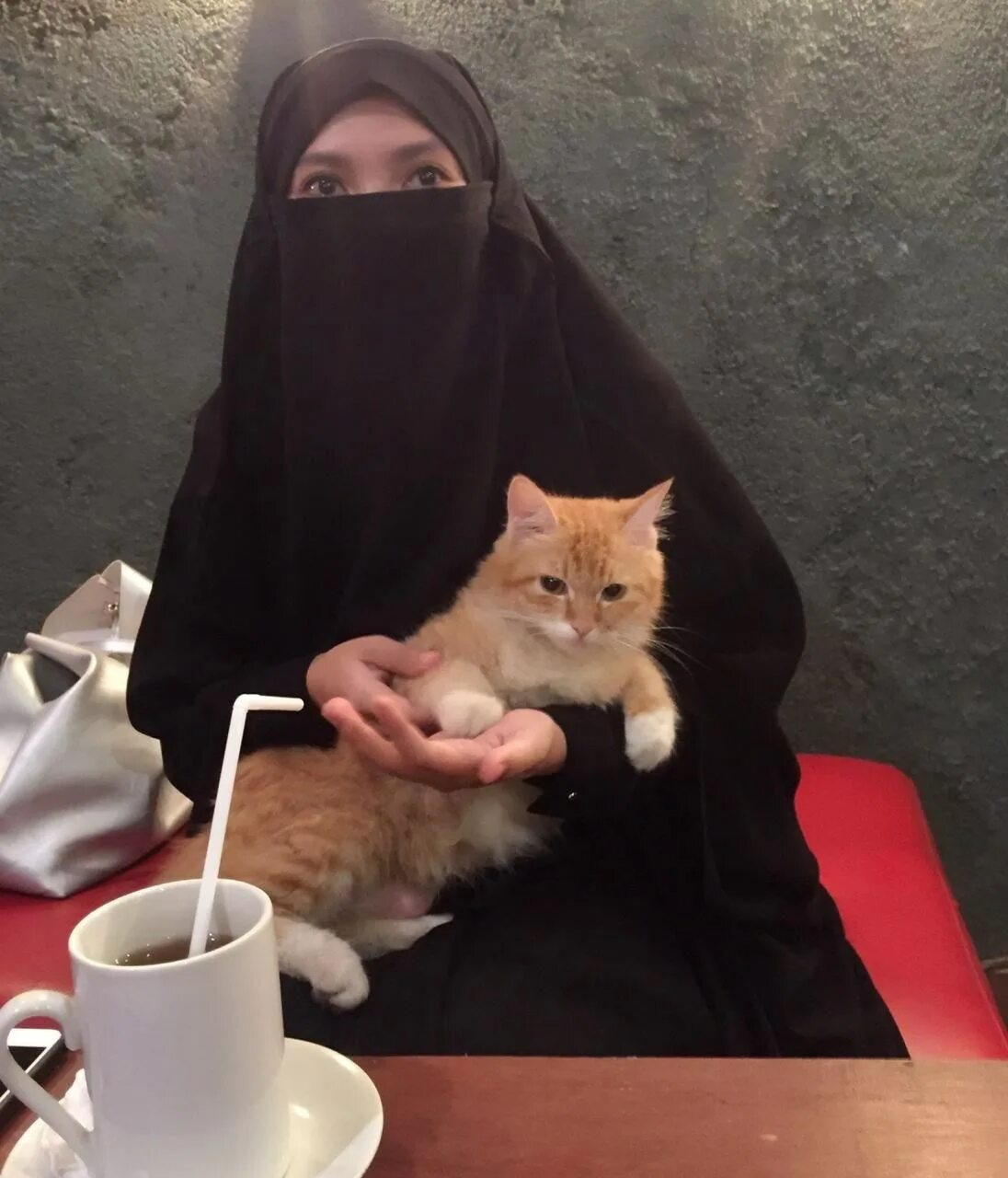 Мусульманский кот. Кошка пророка Мухаммеда Муизза. Кошка в хиджабе. Мусульманка с кошкой. Мусульманские котята.