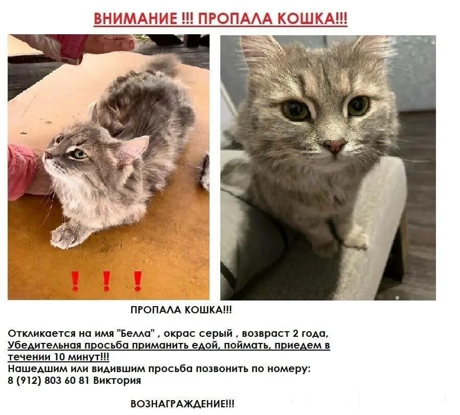 Видевший или видивший правило