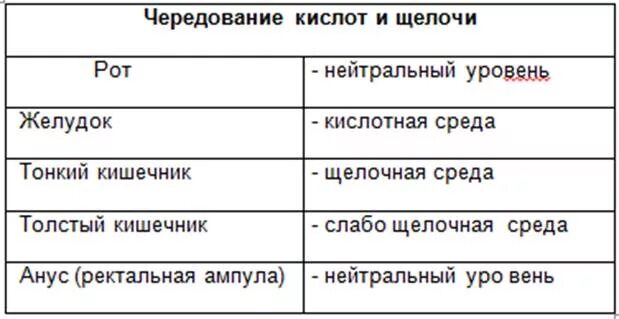 Среда маленькая пятница картинки. Деловая среда сбербанк логотип. Тонкая среда. Среда тонкого кишечника кислая или щелочная. Внутренняя среда организма включает.