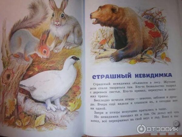 Н сладков произведения для детей. «лесные сказки», сладков н. Сладкова. Сладков рассказы о природе 2 класс. Лесные звери сказка.