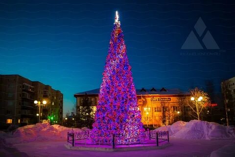 Елки чита