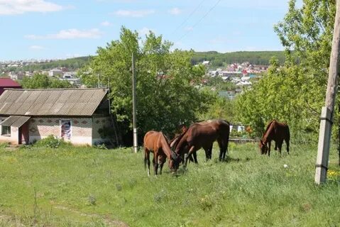 Село советское оренбургская область